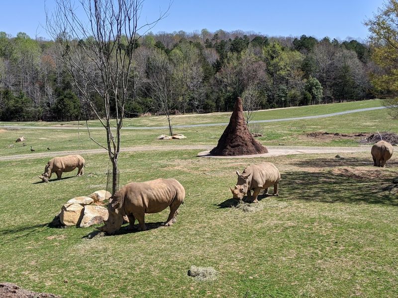 Tickets, Memberships, And Value