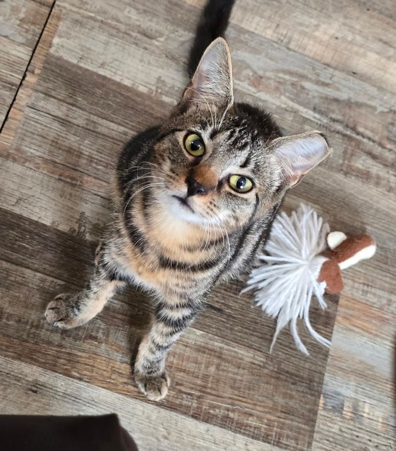 A Unique Stop in Lakeland&rsquo;s Growing Caf&eacute; Scene