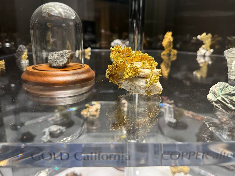 Masterpiece Gallery and Aesthetic Highlights