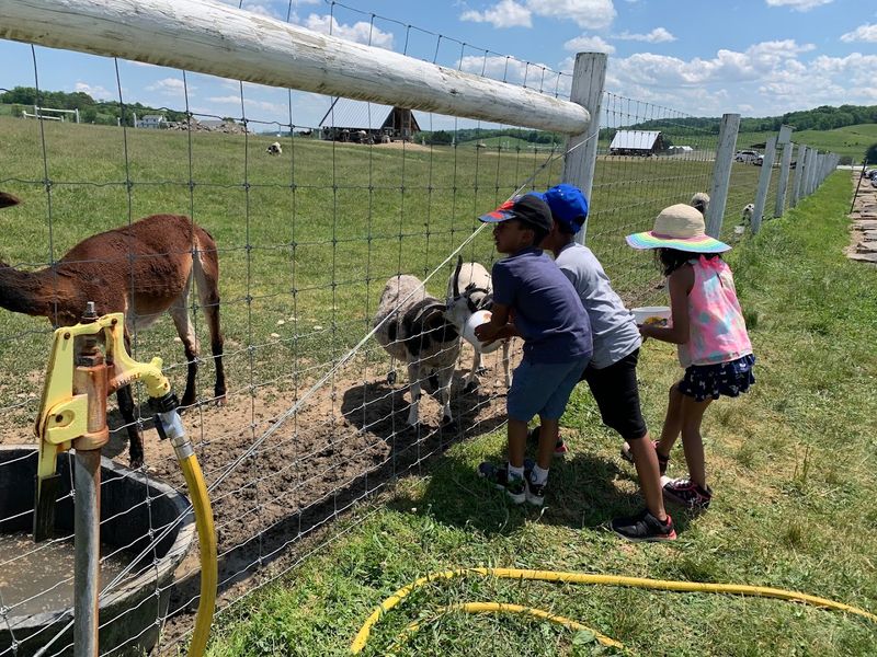 Family-Friendly Interactive Learning