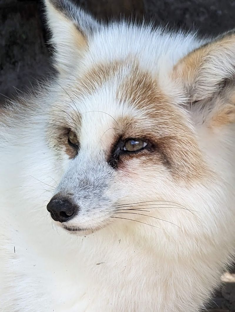 Photo Moments That Feel Natural Instead of Staged