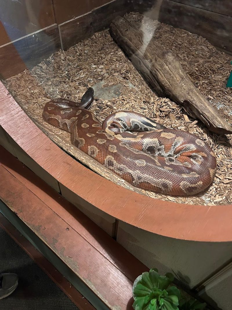 Visitor Info and Tips for Planning Your Trip