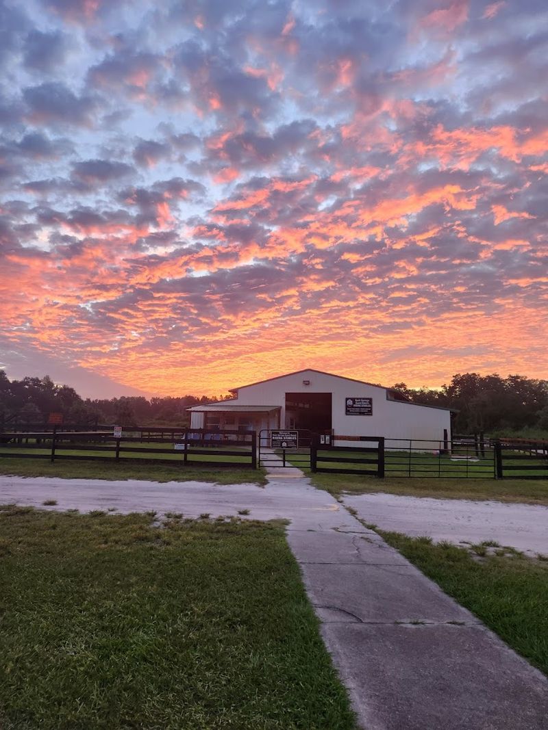 A Hidden Guest Ranch In Central Florida Wilderness