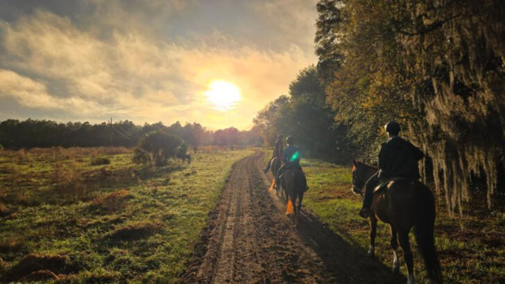 Explore Horseback Trails And Old-Florida Nature At This Rustic Florida Guest Ranch