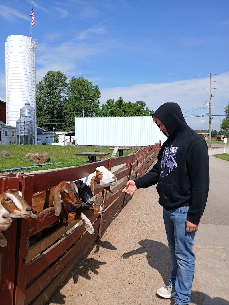 Visit Baby Animals at Young's Jersey Dairy (Yellow Springs, Ohio)