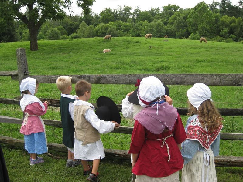 Meet the Farm Animals That Keep the Site Alive