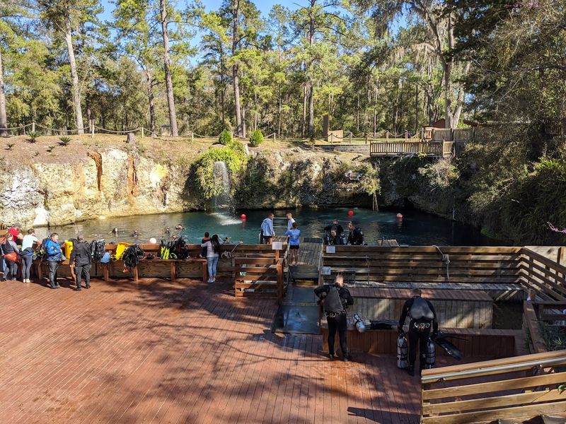 Outstanding Facilities That Welcome Divers and Non-Divers Alike