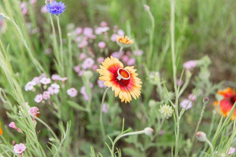 Why Bloom Updates Matter More Than Hype