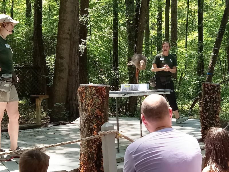 The Raptor Rehabilitation Hospital