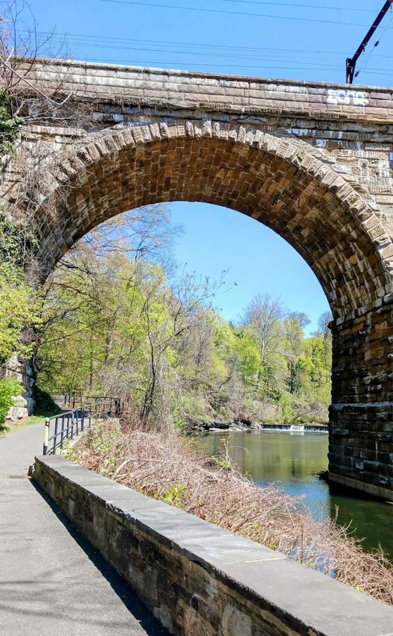 Over 50 Miles of Trails for Every Skill Level