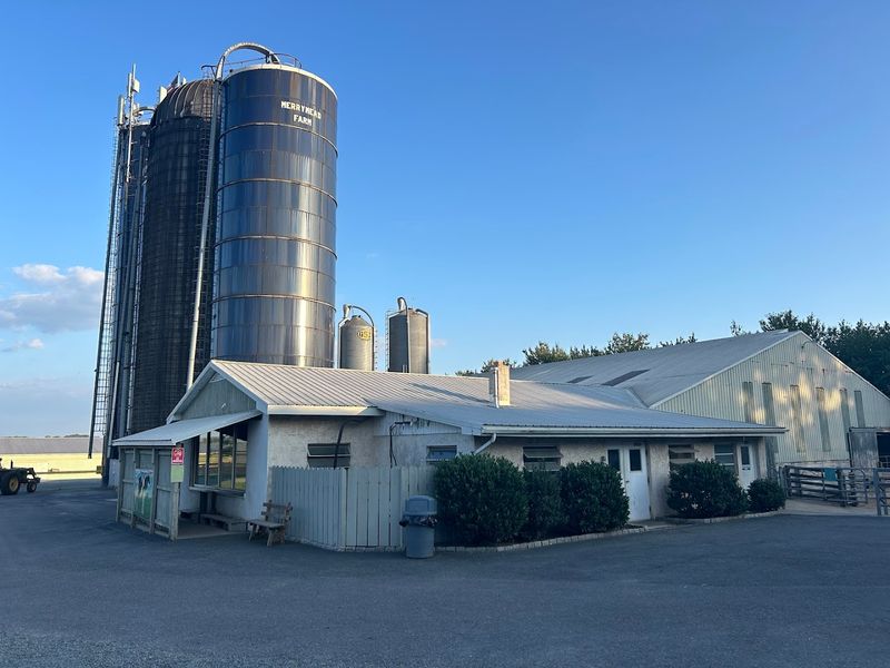 Spring and Summer &mdash; When the Ice Cream Line Gets Serious