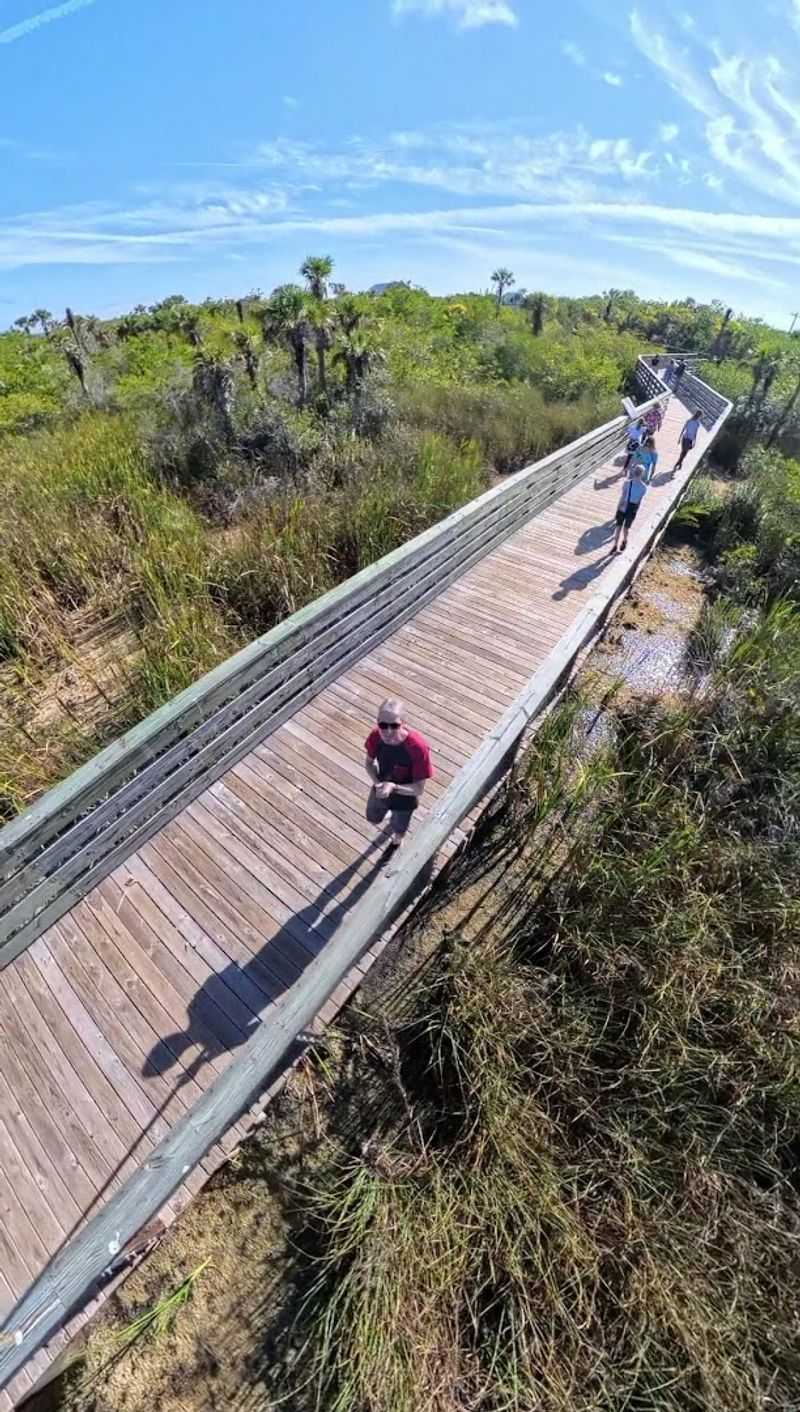 Big Cypress Bend Boardwalk - Fakahatchee Strand Preserve