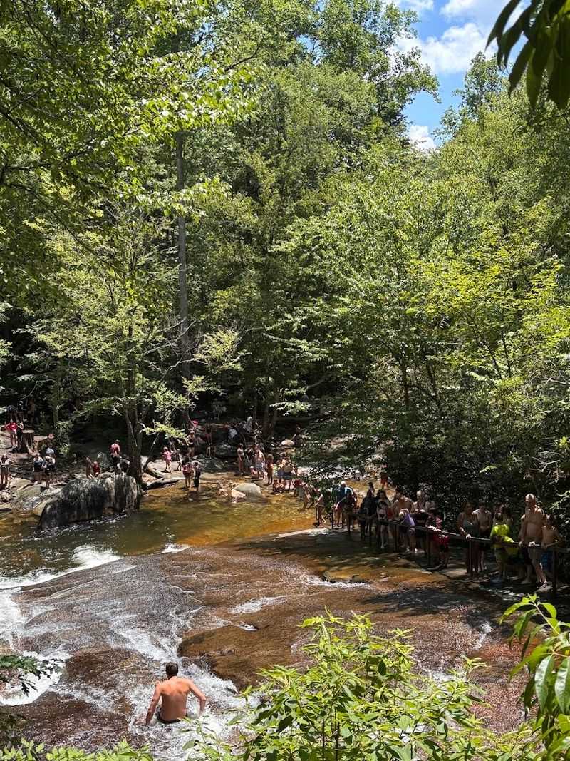 The Surrounding Scenery and Pisgah National Forest