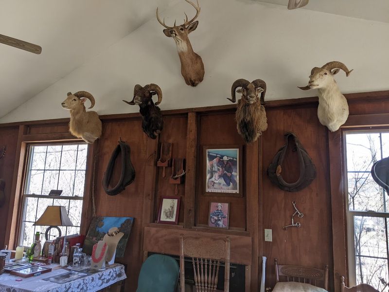 Rustic Cabin Venue for Gatherings and Events