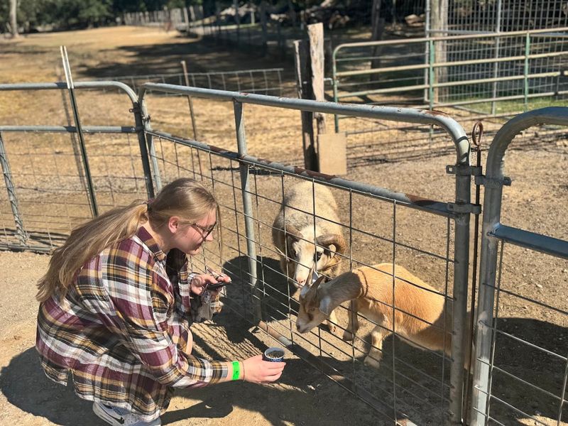 A Unique Mix of Education and Entertainment