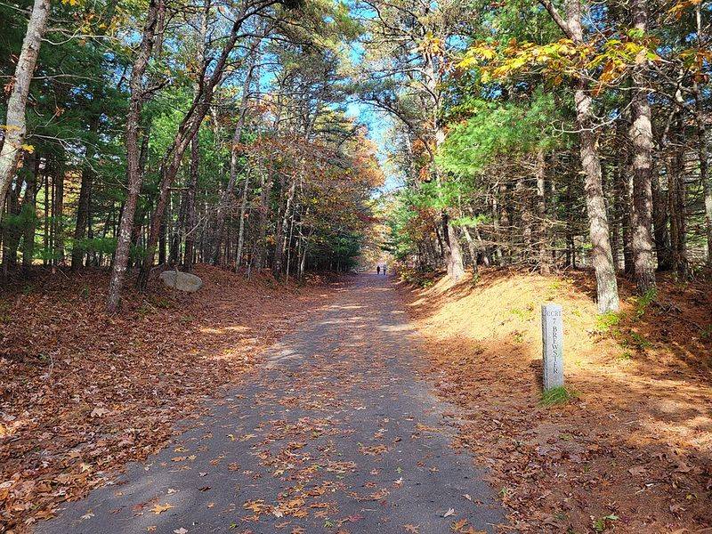 The Stunning Scenery: Ponds, Forests, and Classic Cape Cod Views