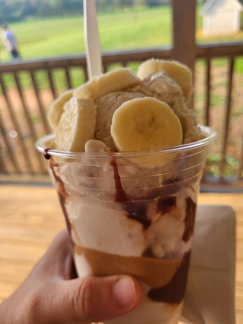 Cyclists and Day-Trippers: Routes and Rewards