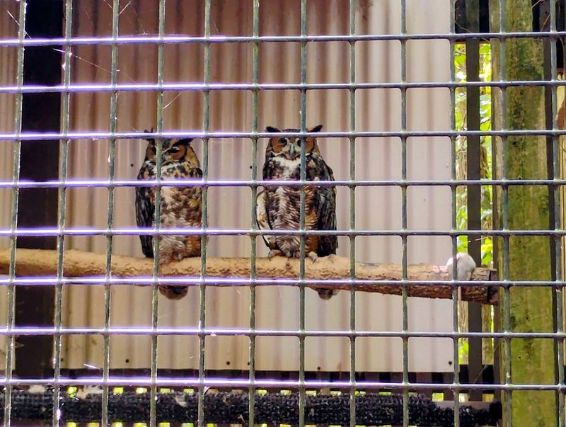 Visitor Information and Planning Tips