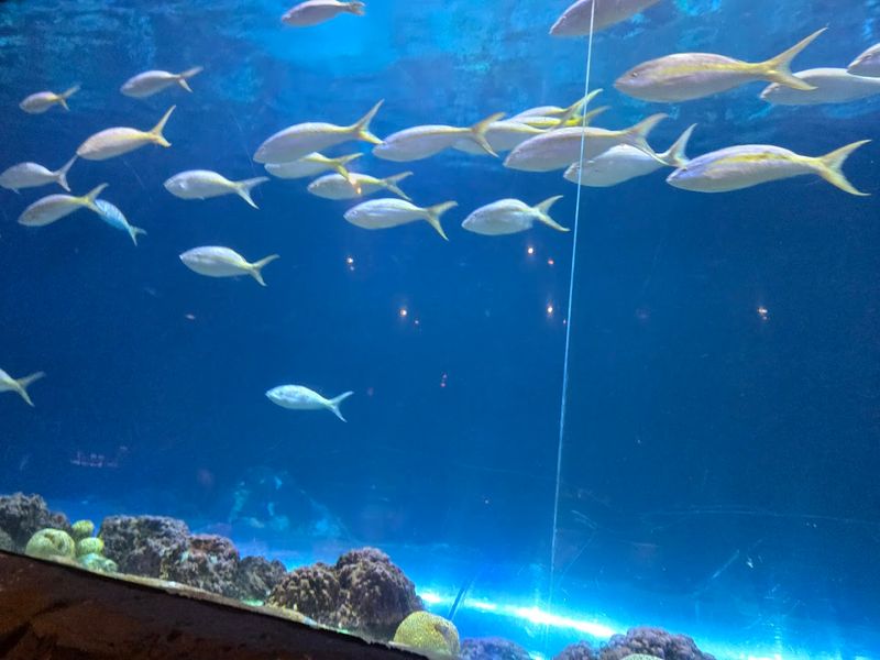 Photography And Social Captures