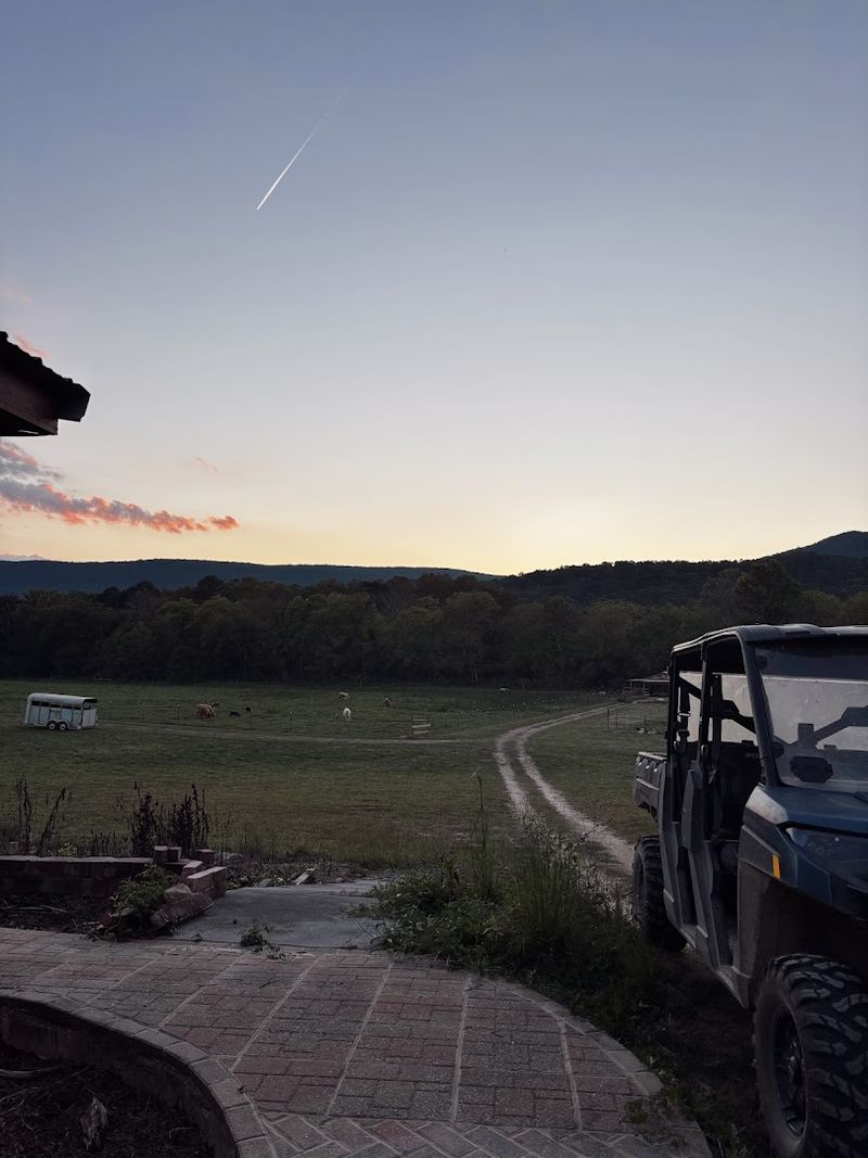 Date Night on the Farm