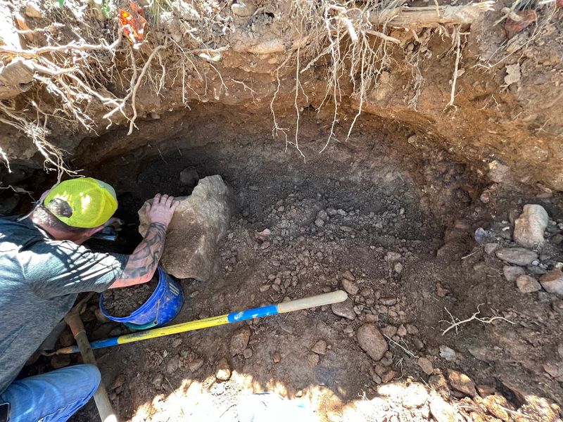 Costs, Value, and Ethics