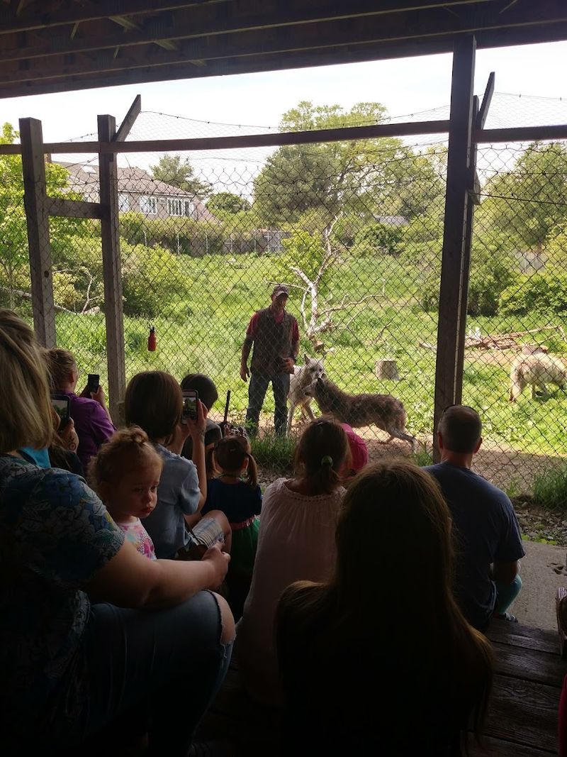 Meeting The Educators And Volunteers