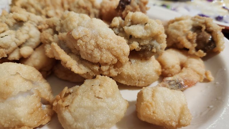 Gator Bites and Adventurous Appetizers