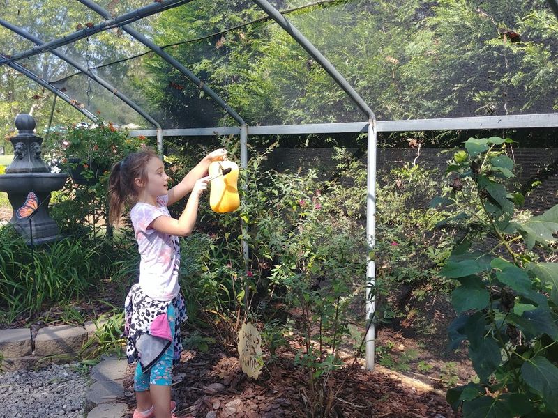 Seasonal Access and Planning Ahead