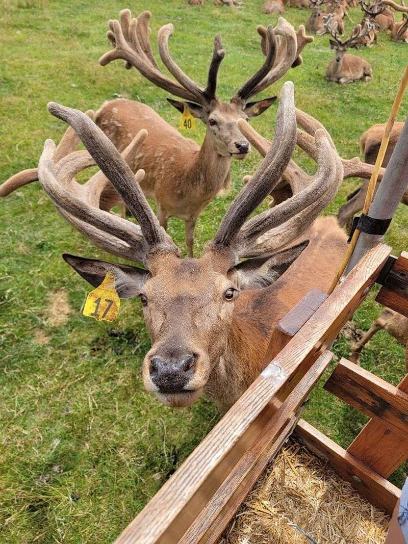 Friendly Guides Make the Tour Feel Personal