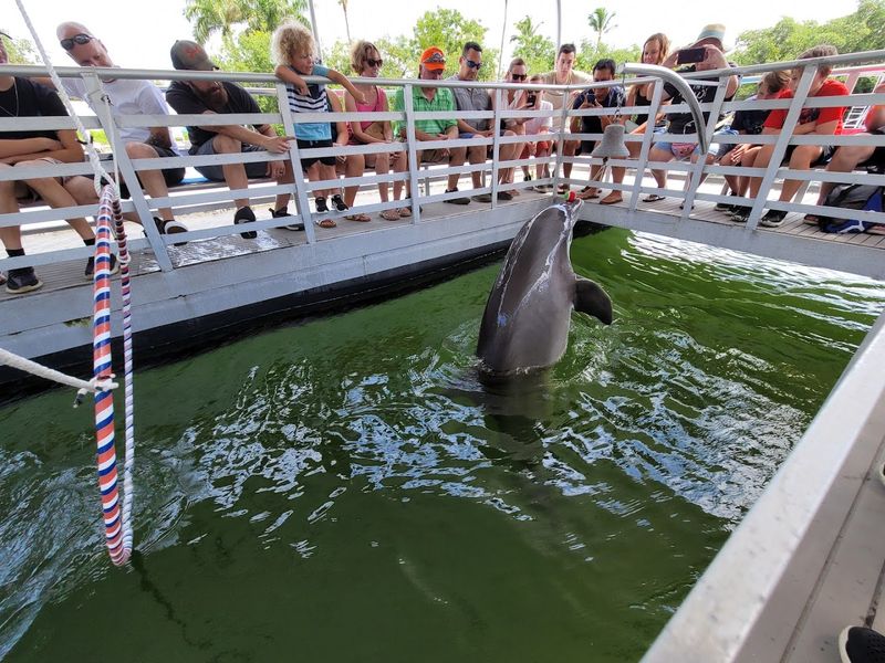 Plan A Family-Friendly Route