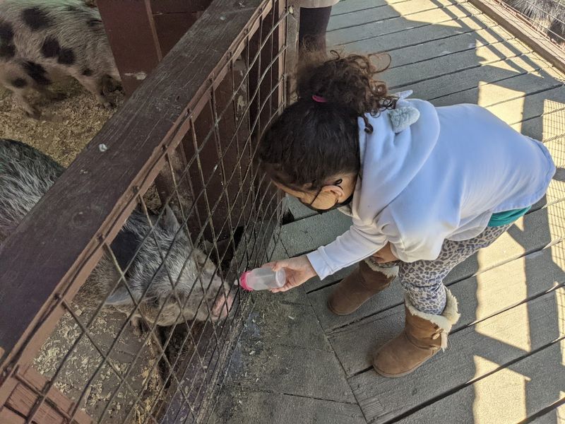 A Family-Friendly Stop That Keeps Kids Engaged