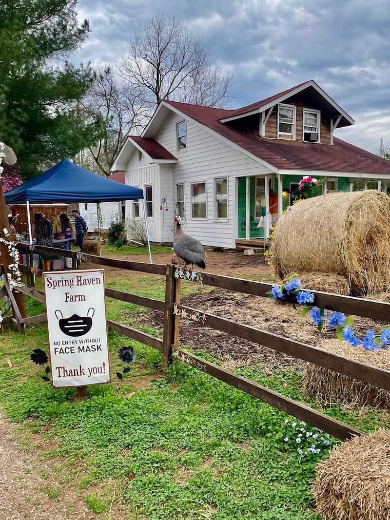 The General Store and Farm Shop