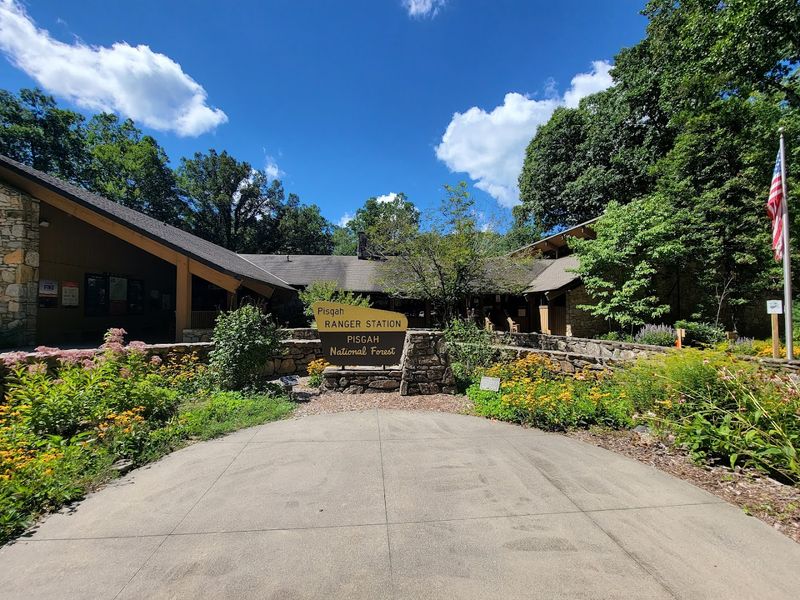 Planning A Smooth Visit From Pisgah Highway