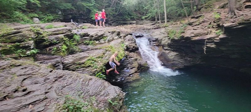 The Swimming Hole And Water Conditions