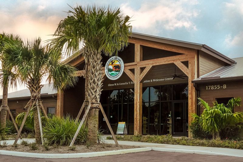 The Free Admission Policy and What It Actually Means