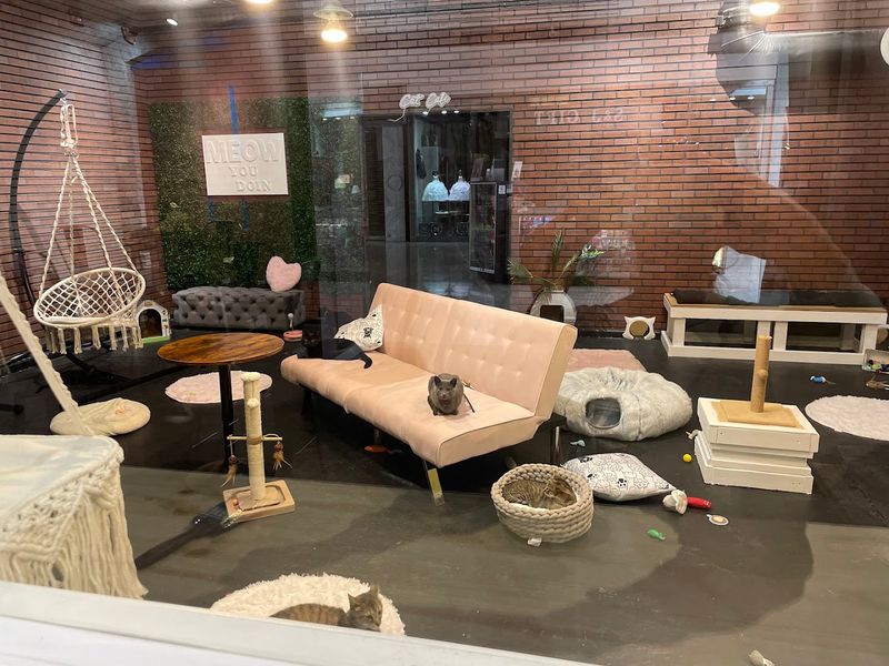 Stepping Inside: What the Space Actually Feels Like