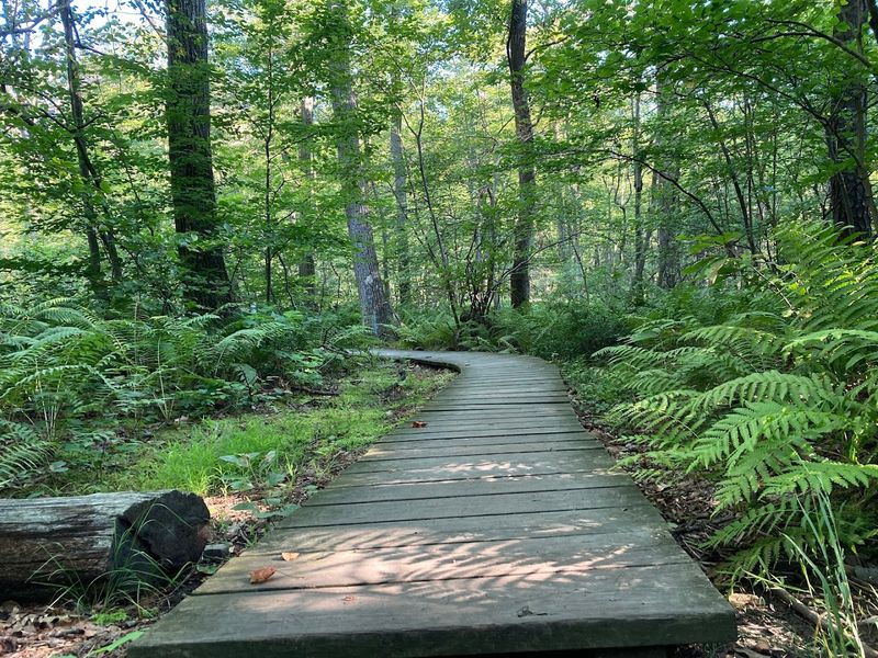 Choosing the Right Route: Preferred vs Challenging