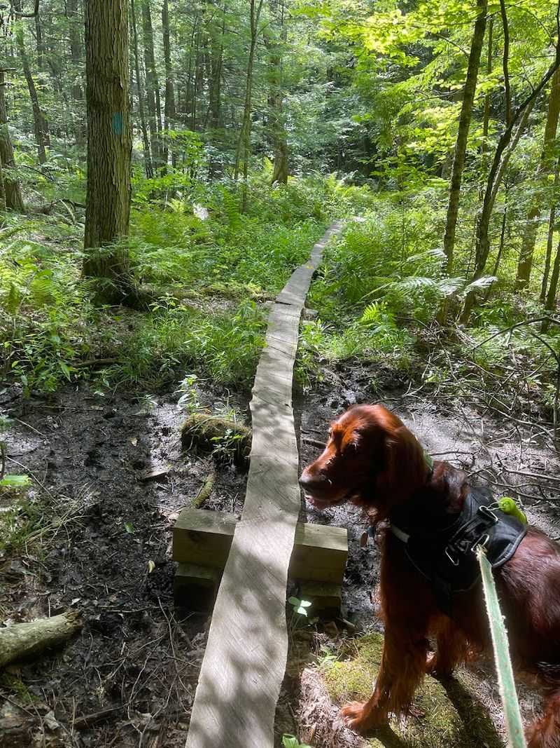 Leave No Trace in a Small, Loved Park