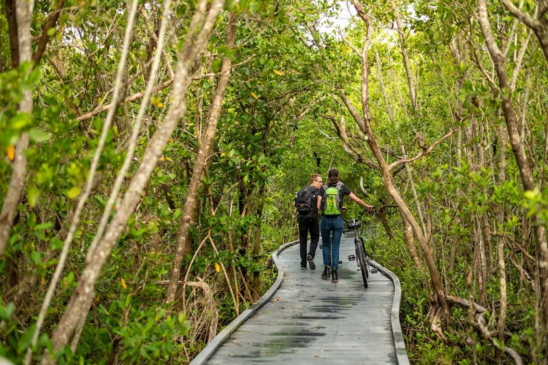 Walking Trails and Hiking Paths