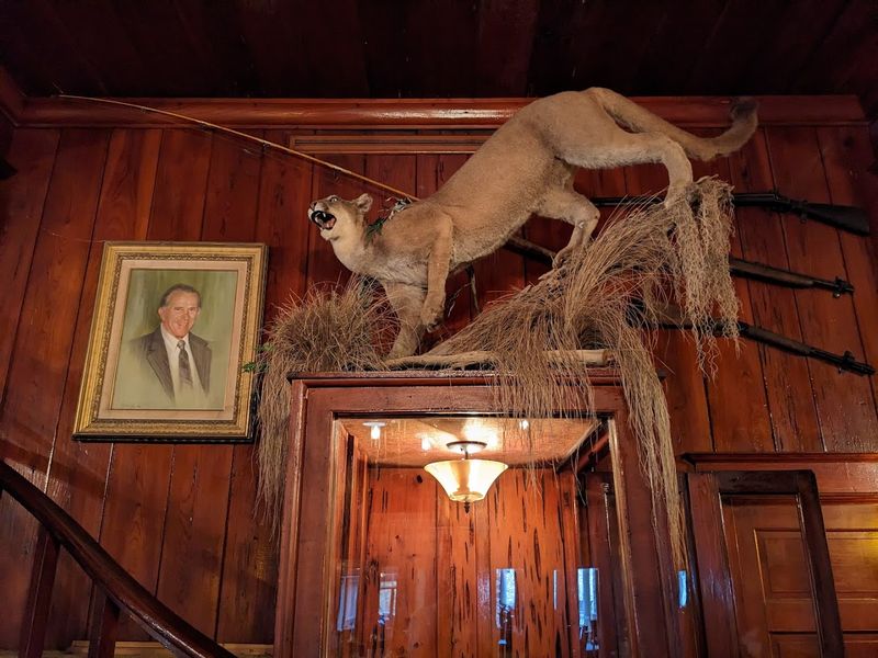The Taxidermy, the Trophies, and the Walls That Tell Stories