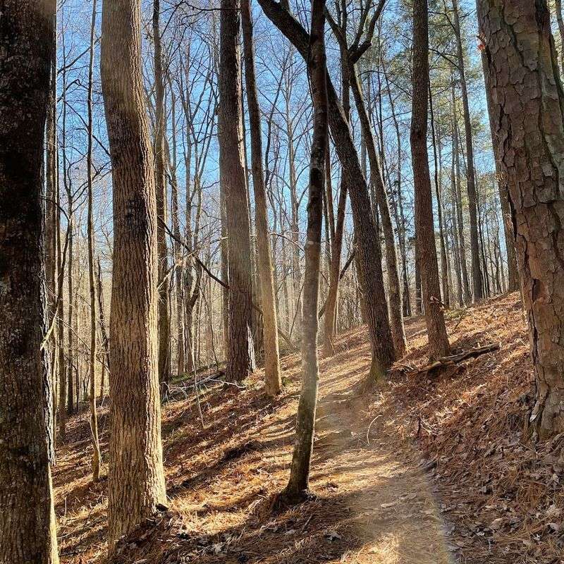 Equestrian Area and Horse Trails