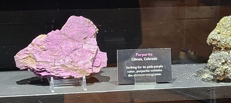 Rotating Exhibits That Keep It Fresh