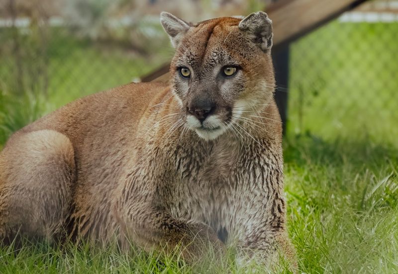 What Happens Behind the Scenes