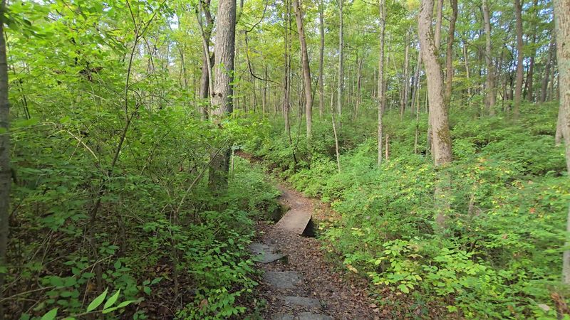 Take the North Rim Trail for an Easier Perspective
