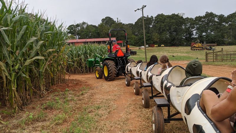 Bringing Kids: What Holds Their Attention and for How Long