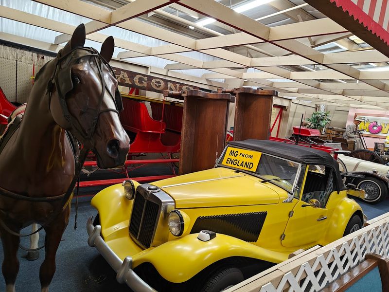 Unexpected Finds You Won't See Anywhere Else