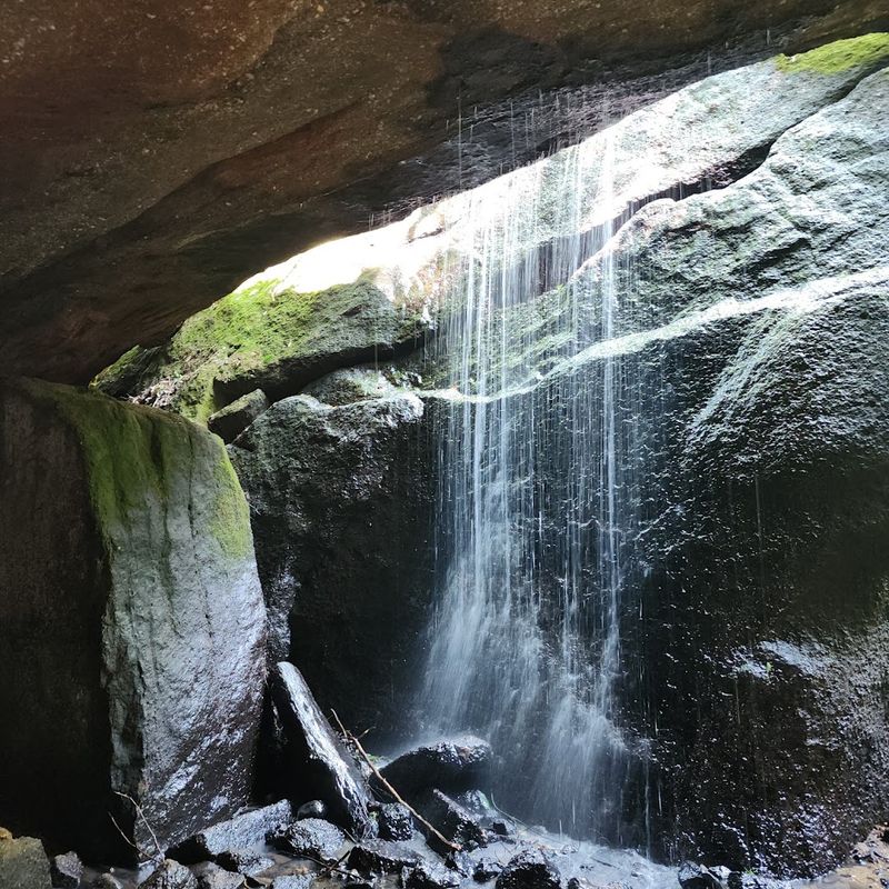 Practical Tips, Safety, and Timing