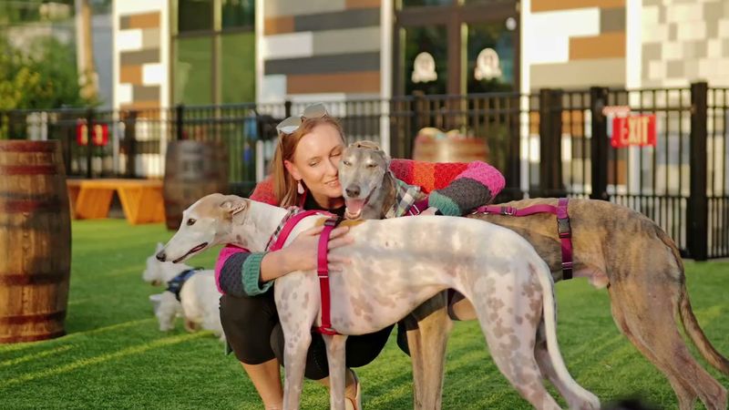 Membership and Day Pass System