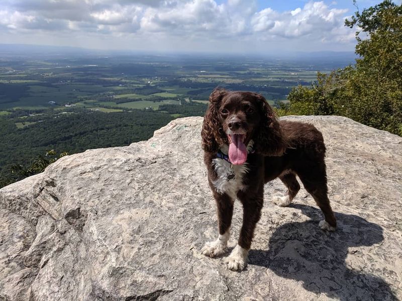 Water, Snacks, and Energy Management