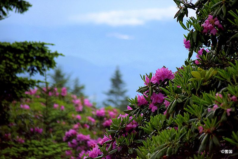 Visitor Info and Tips for Planning Your Trip